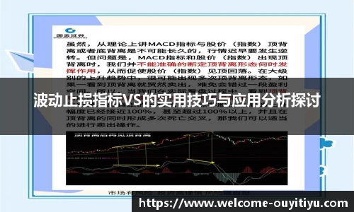波动止损指标VS的实用技巧与应用分析探讨